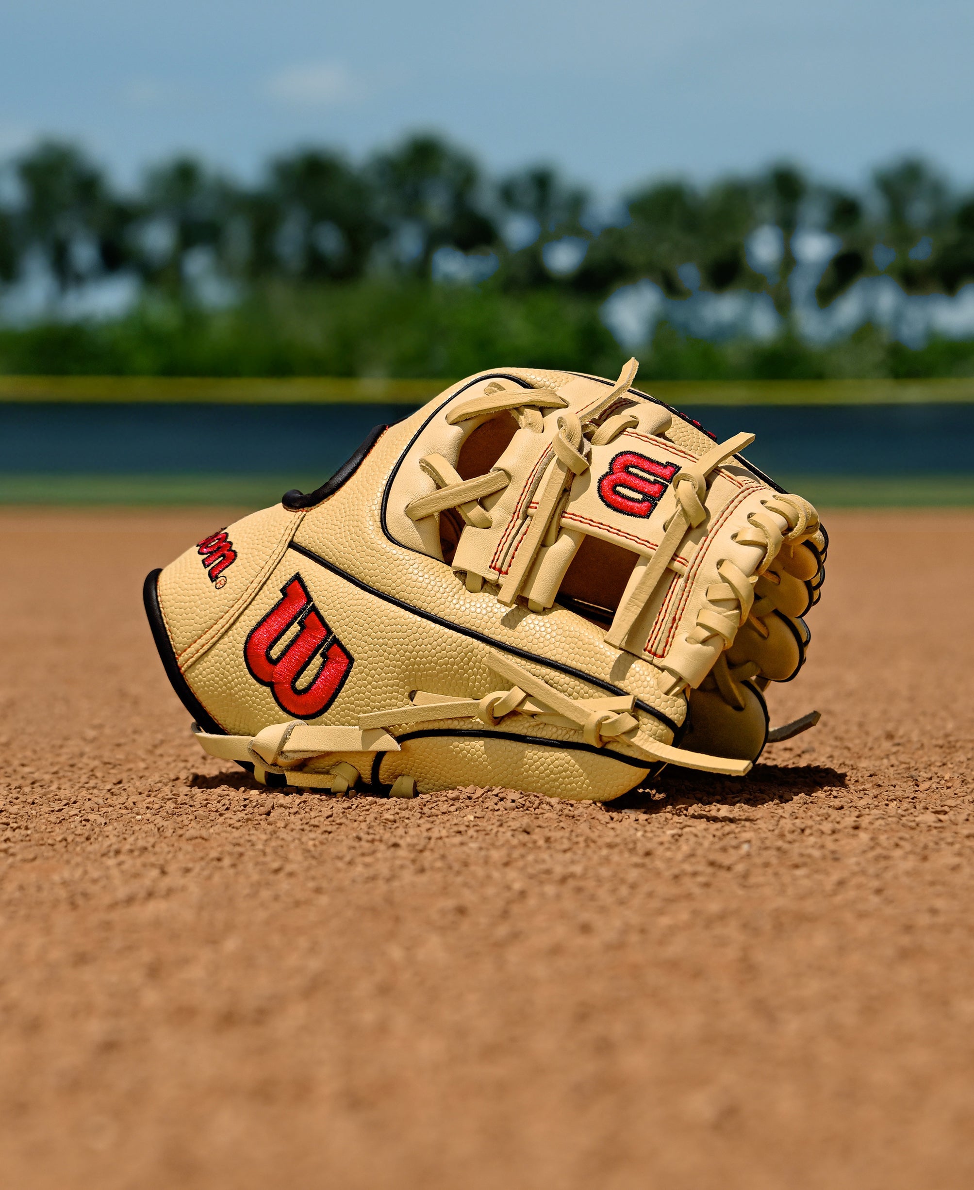 Wilson A1000 PF11 Pedroia Fit 11" Baseball Infield Glove with SuperSkin