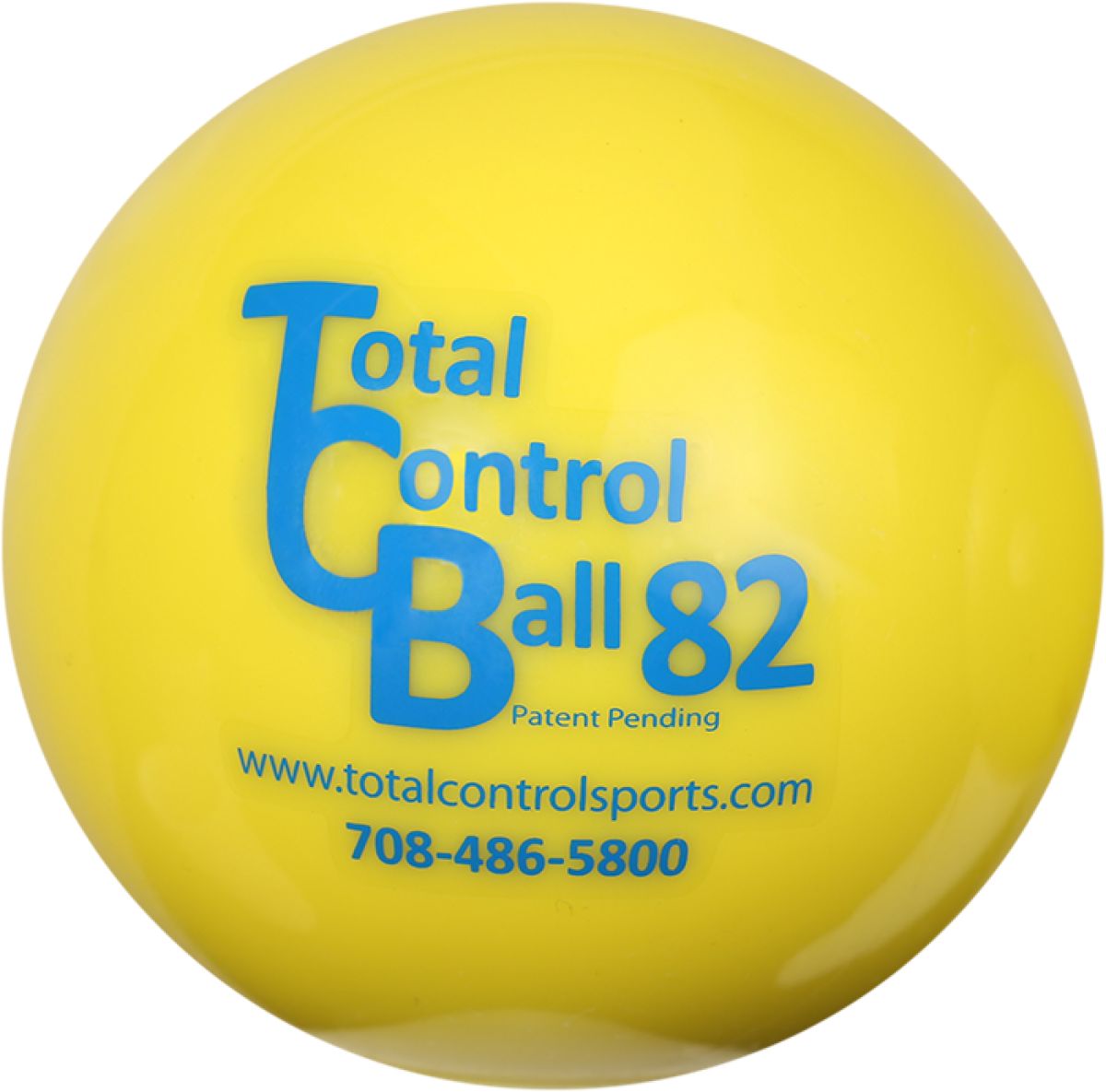 Total Control Training Ball 82