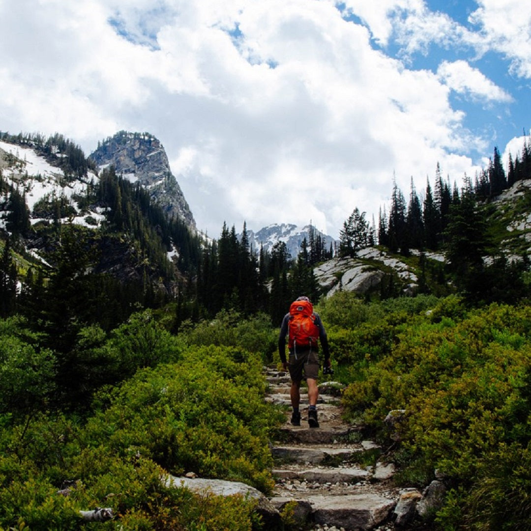 Stuck at Home?  Try These Activities to Pass the Time