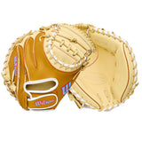 Baseball Catcher's Mitts