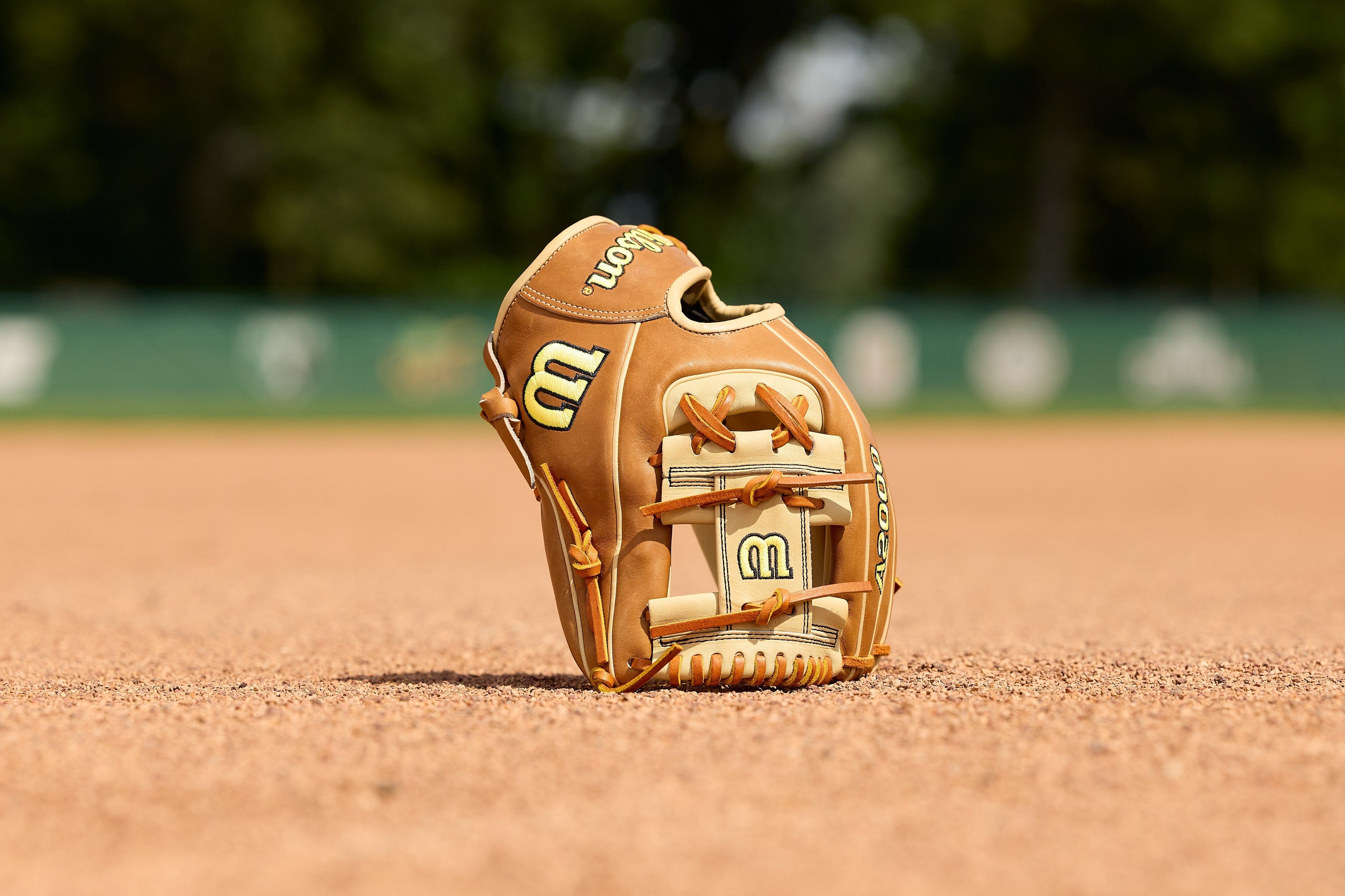 Wilson A2000 Classic 1786 Black/Blonde Model 11.5" Baseball Infield Glove